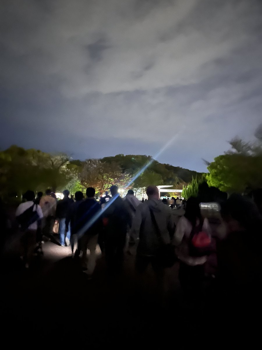 はしもとかよ tweet media