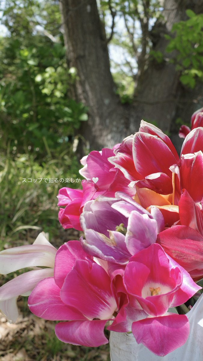 女医ちゃん👩⚕️ tweet media