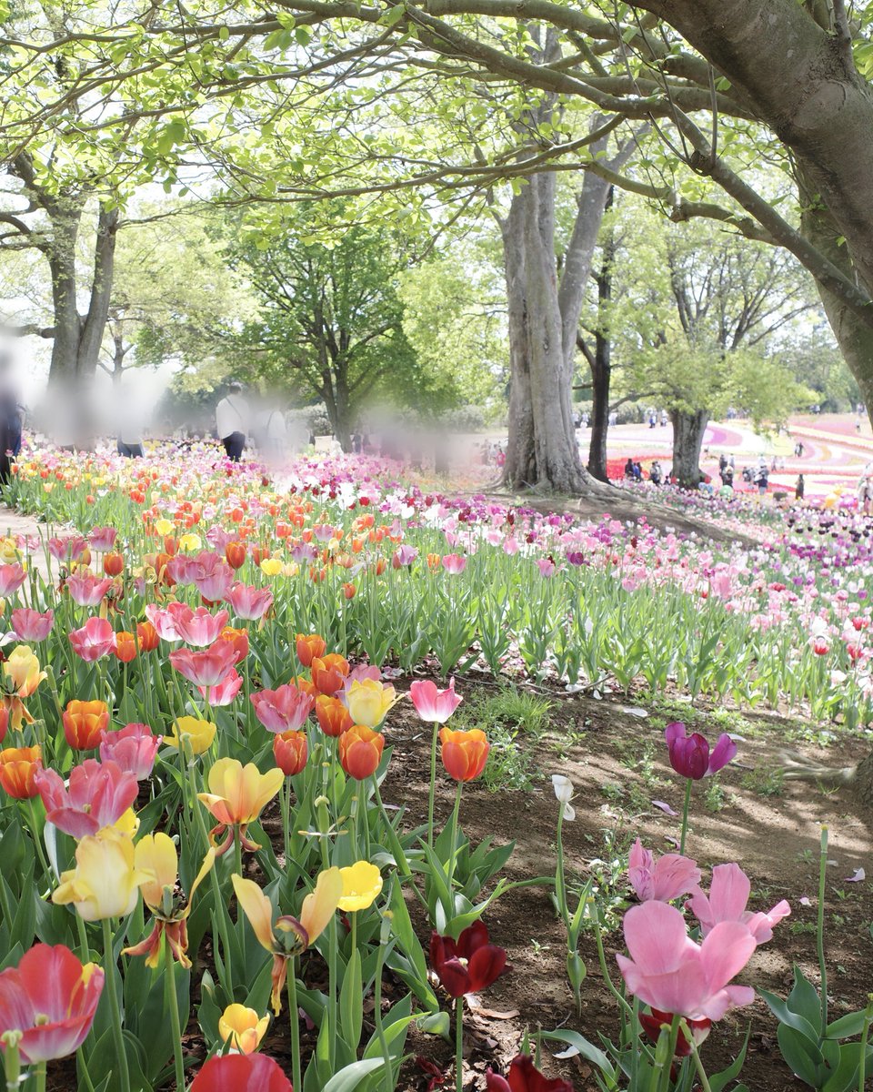 女医ちゃん👩⚕️ tweet media