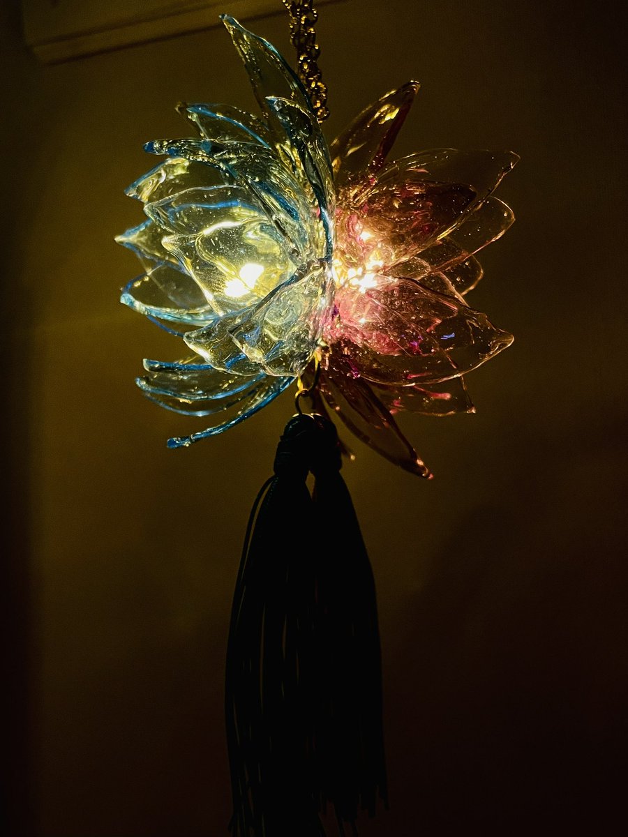 ihcikaya(いちかや) tweet media