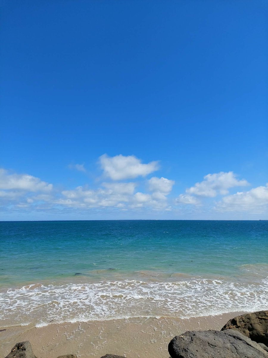 Anthony Rhead (On hiatus) tweet media