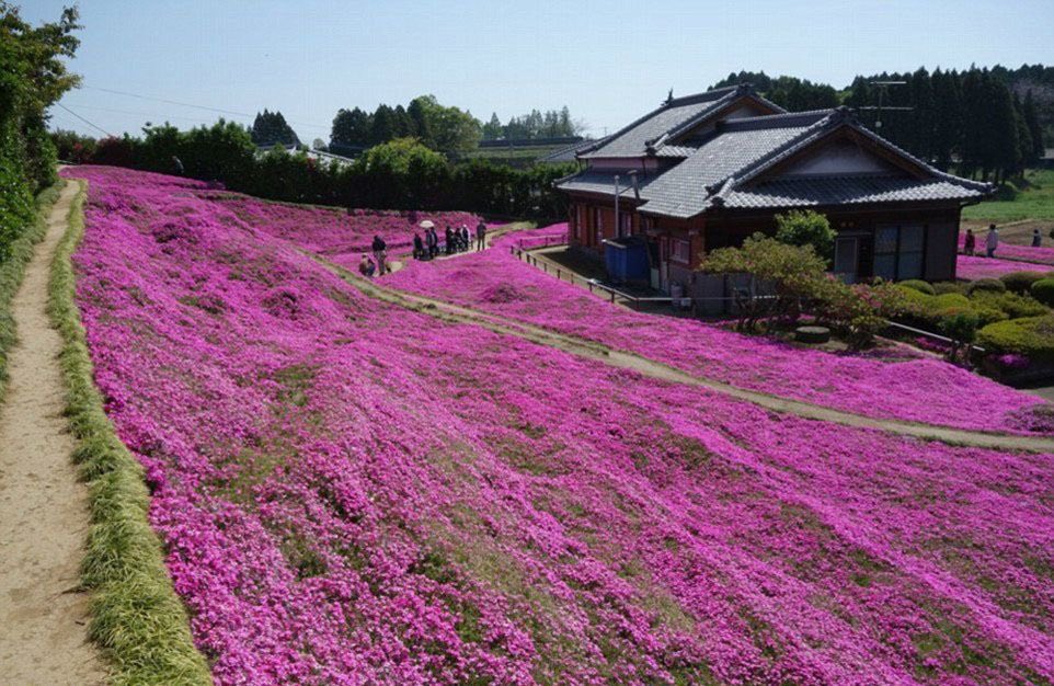 folkative tweet media