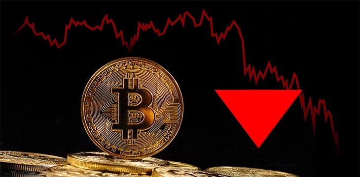 CrypticKangaroo tweet media