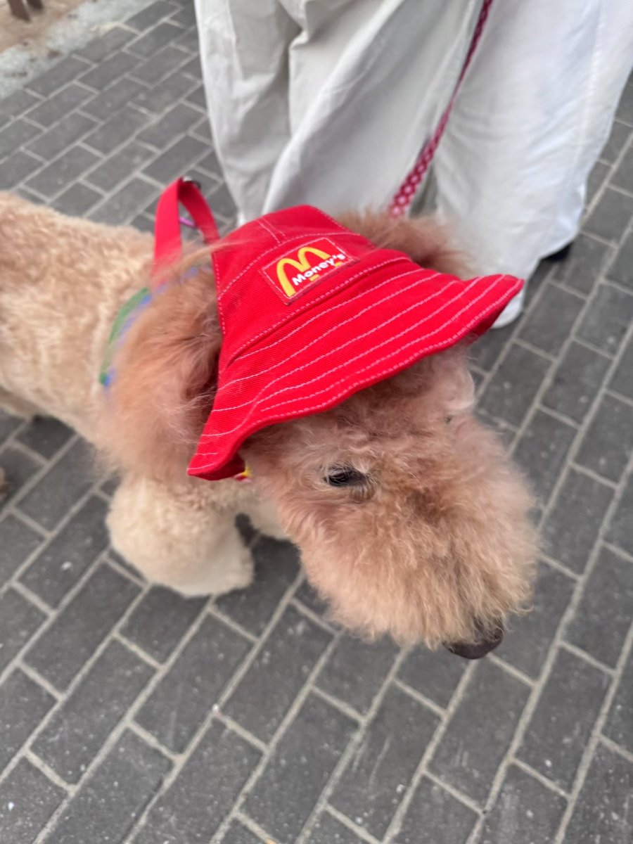 zhuzhuge_'s tweet photo. 这些本来都是发给你的
#4i https://t.co/JclgZKyDw6