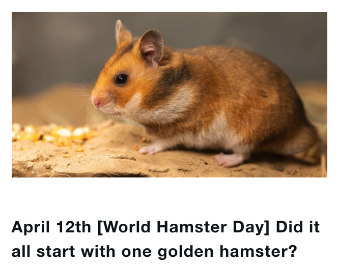Rats tweet media