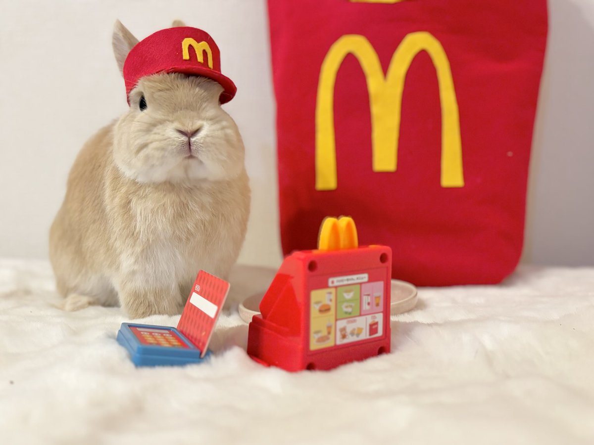 いのかむきぃせちゃしちゃ🐰みぃ👩🏻 tweet media