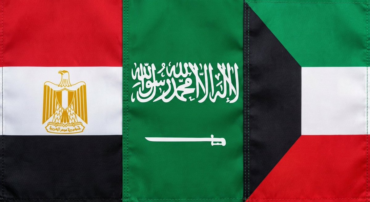 SARA Αhmed tweet media