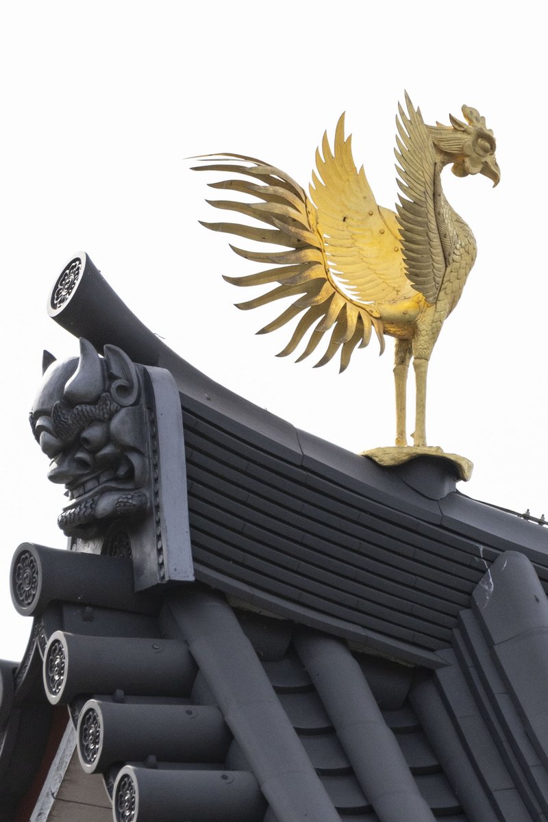 中野 広夢（ロペス）/ Hiromu Nakano tweet media