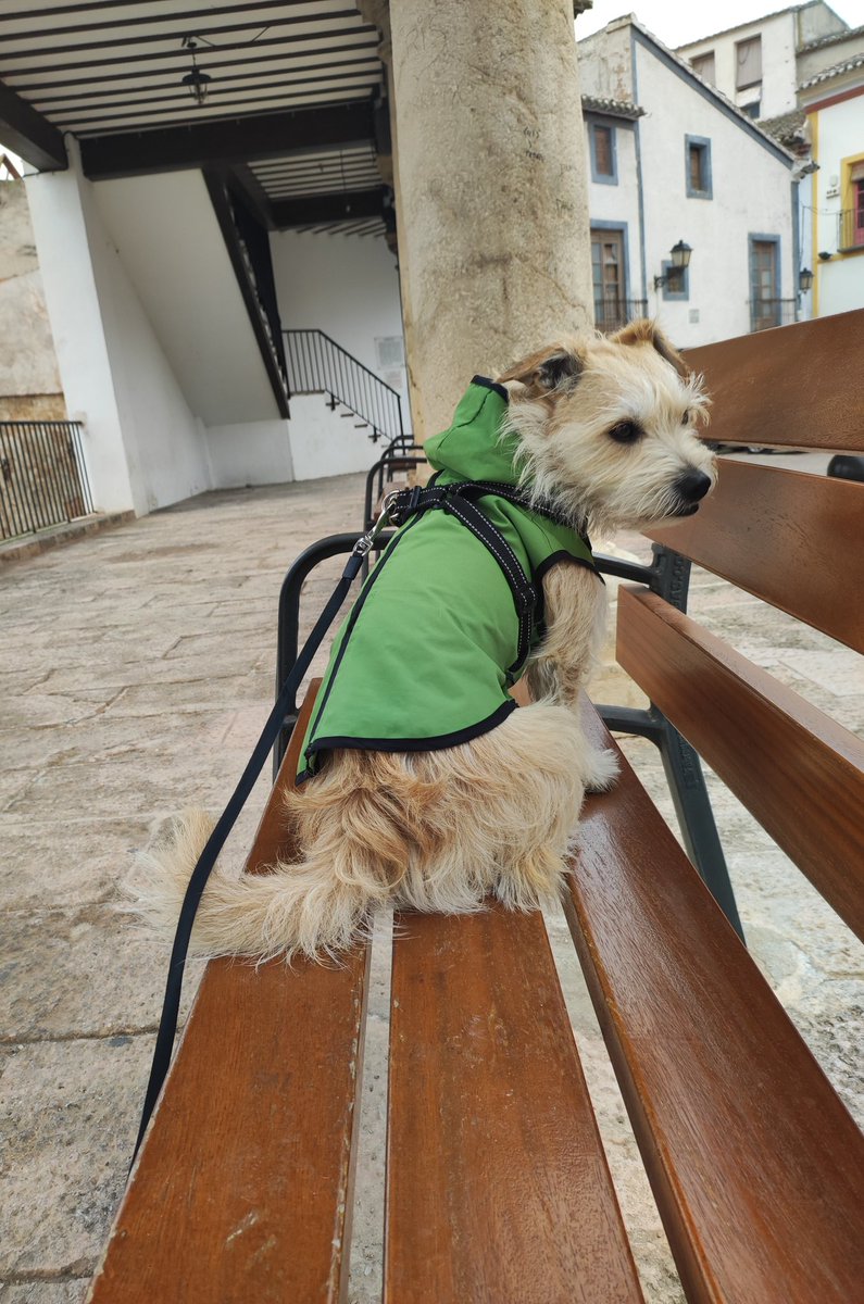 4 De Septiembre ✵ tweet media