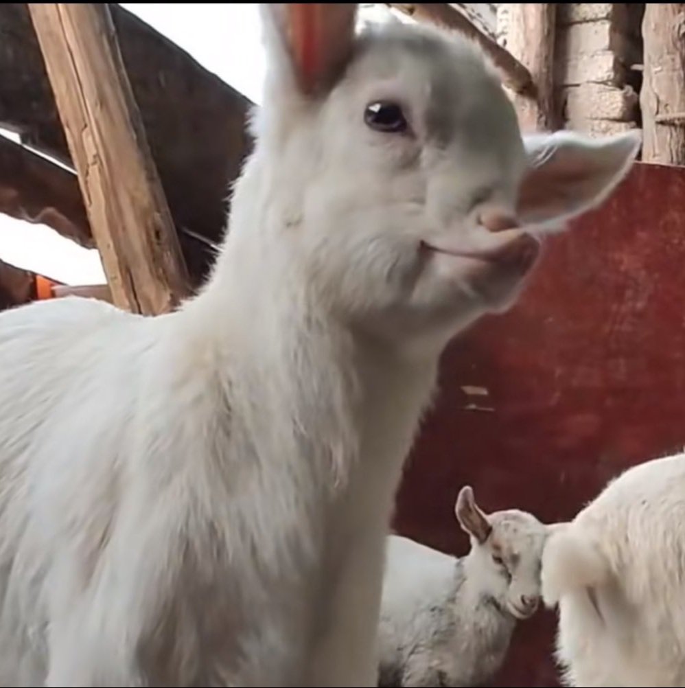 PN HW โยดฮต๏ฝโ เธเธฒเธฃเนเธsad boy tweet media