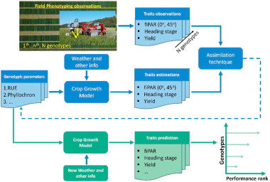 PPhenomics's tweet photo. New data assimilation pipeline combines high-throughput phenotyping with wheat crop models! 🌾 Efficiently estimates genotypic parameters to predict performance across environments. #CropModeling #Phenomics #PlantBreeding
Details: https://t.co/4fvLq4nKjb https://t.co/qtYSQoMckV