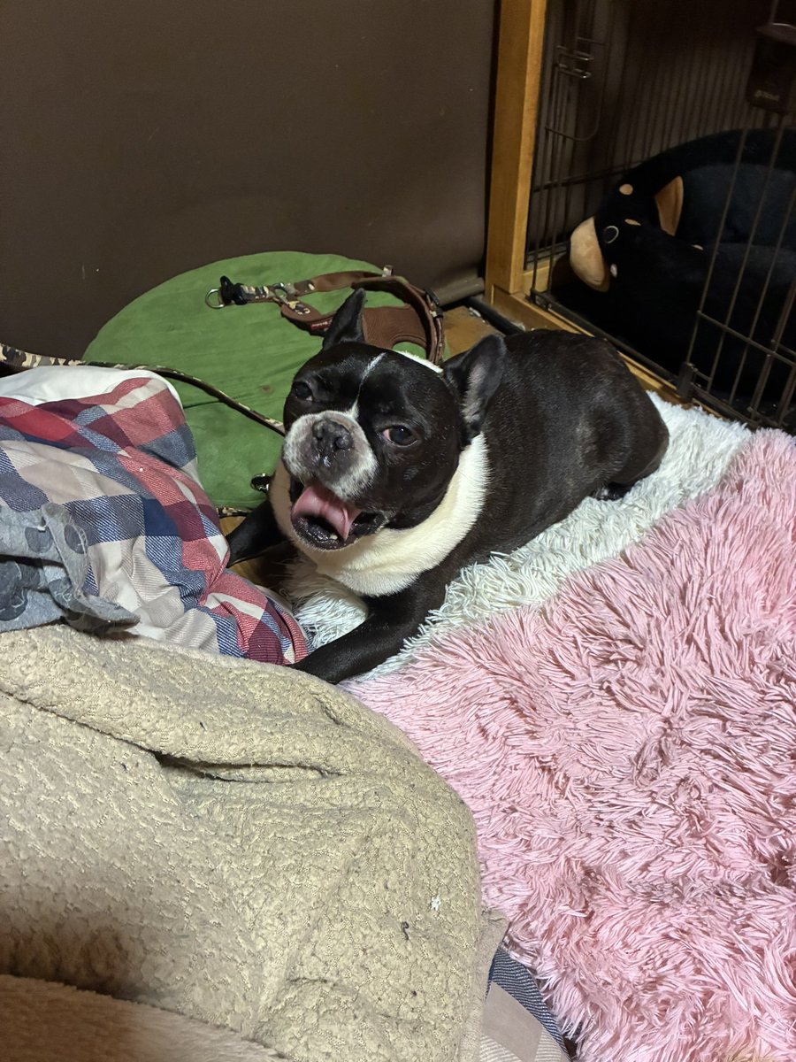 大河👿 tweet media