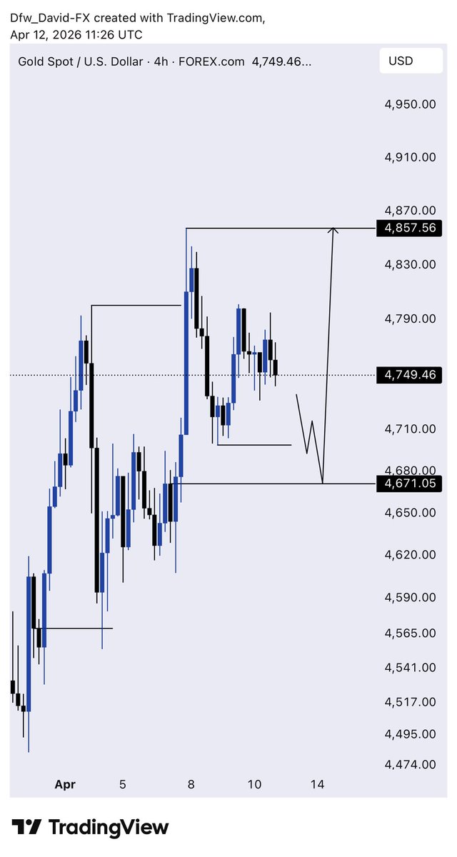 DAVID 📊 tweet media