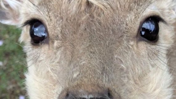 라오!🤍 tweet media