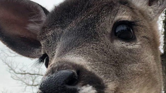 라오!🤍 tweet media