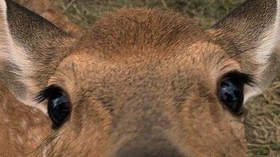 라오!🤍 tweet media