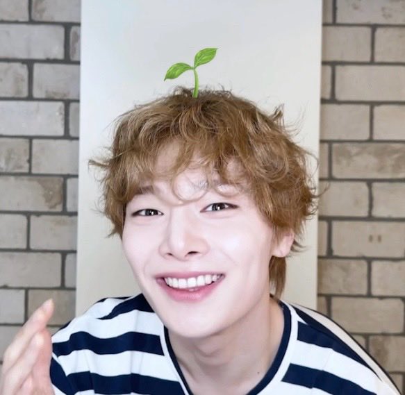 sia ☁️🍞 tweet media