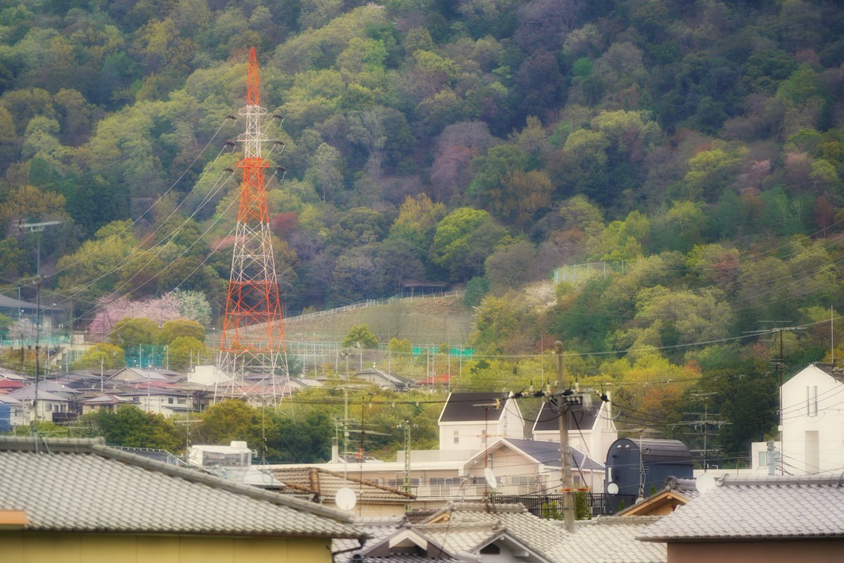 アップルパイ🍎🌿 tweet media