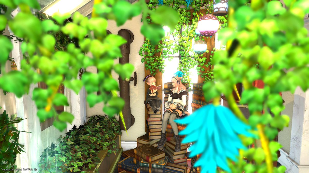 Halu Ames@unicorn tweet media