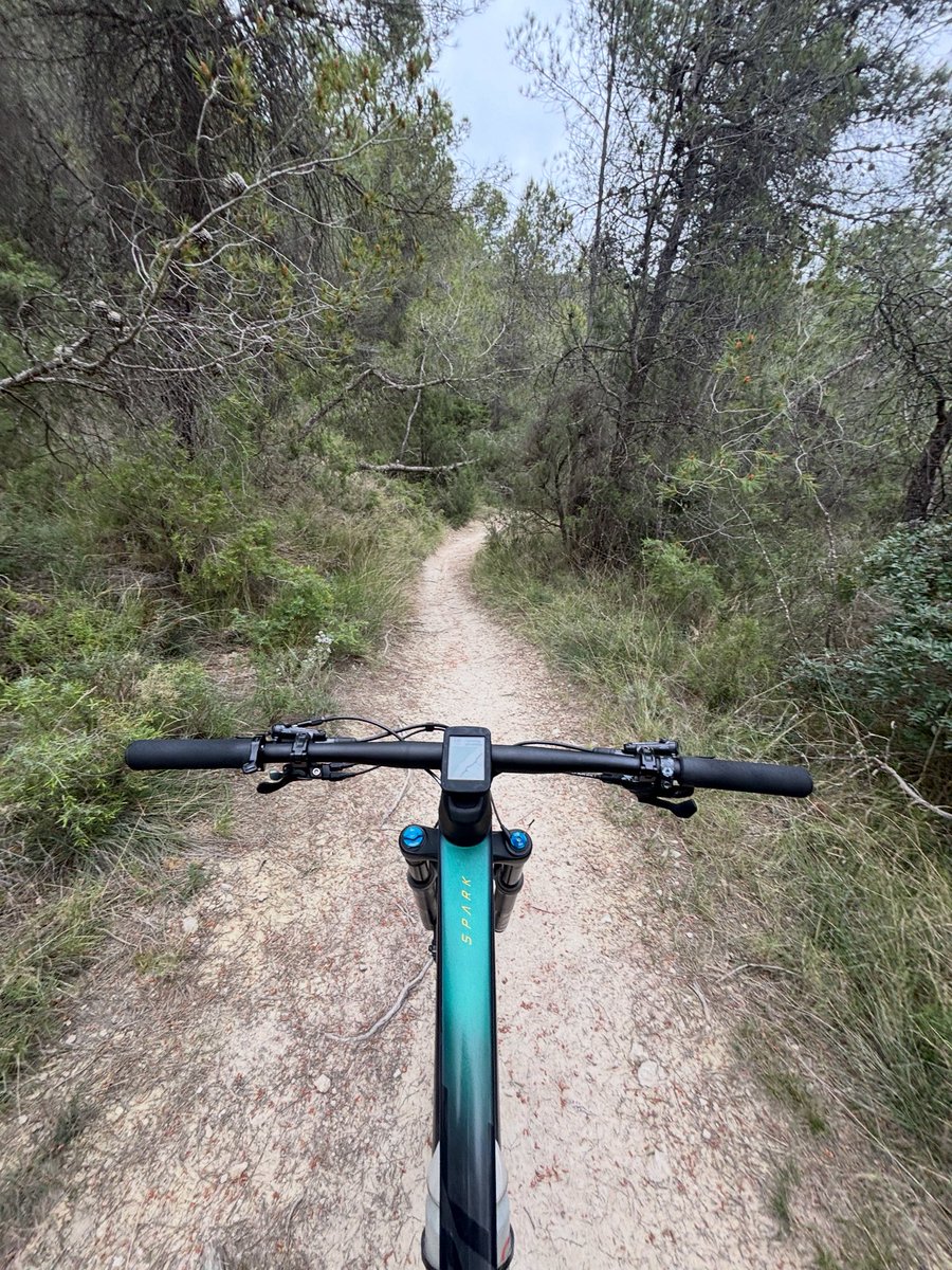 Buen POV hoy #btt #scott #spark
