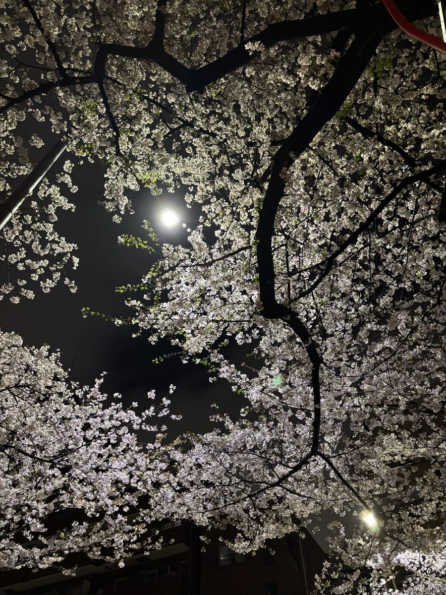 みうぞー(がん闘病中) tweet media