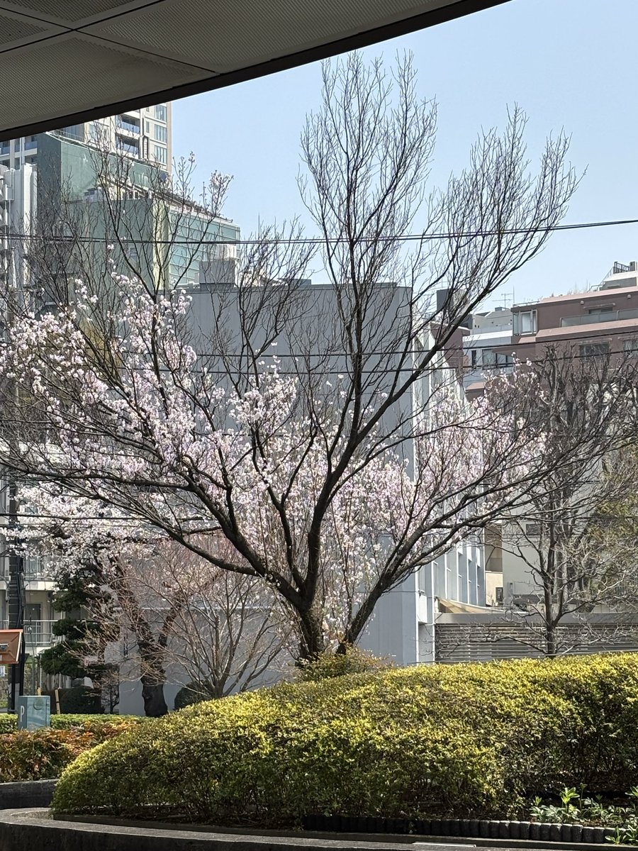 みうぞー(がん闘病中) tweet media