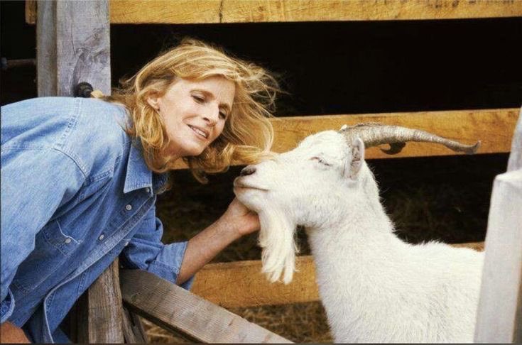 سُــلـطَان 𓂃🩸་༘ tweet media