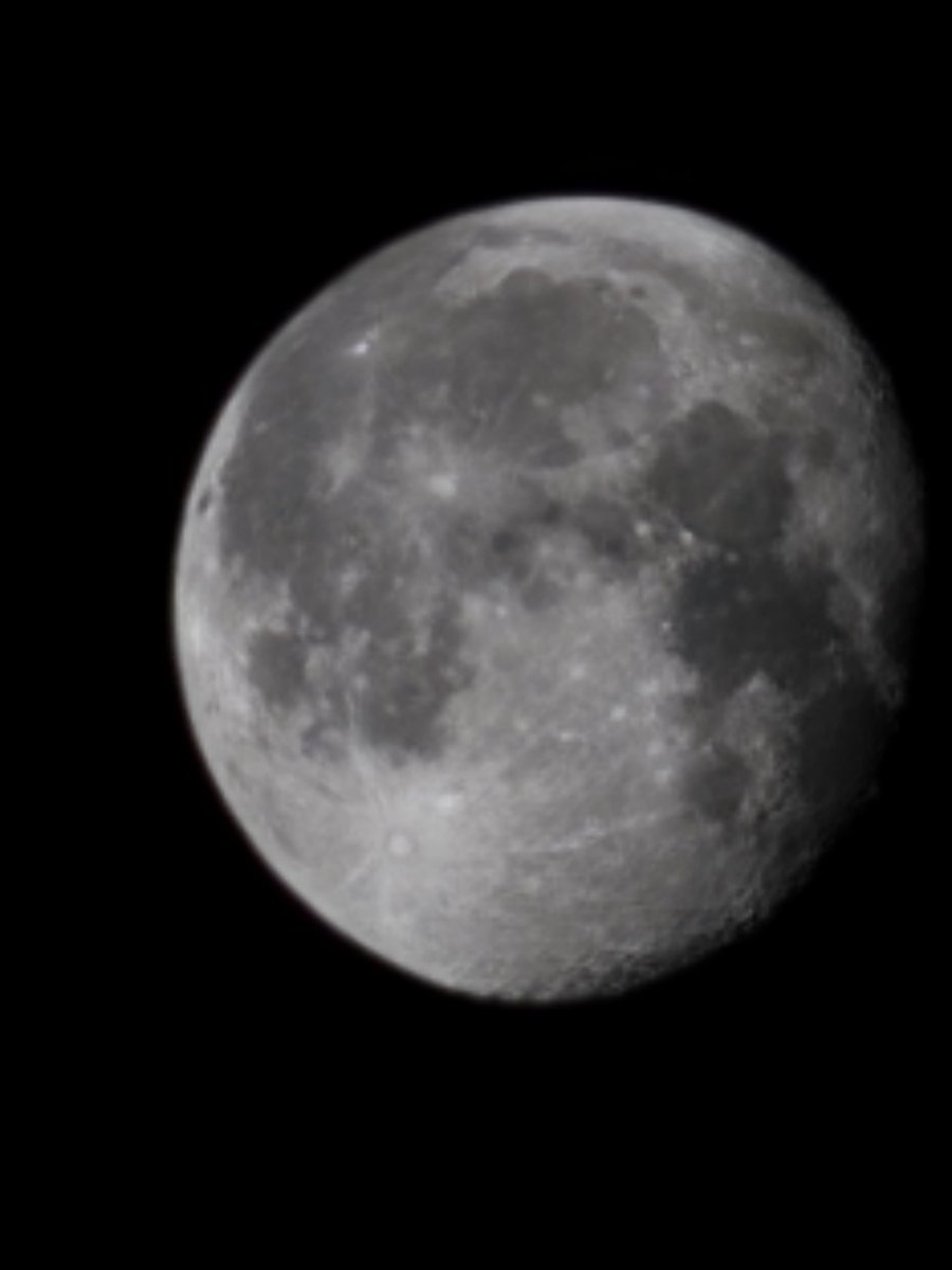 Dawn C Buck tweet media