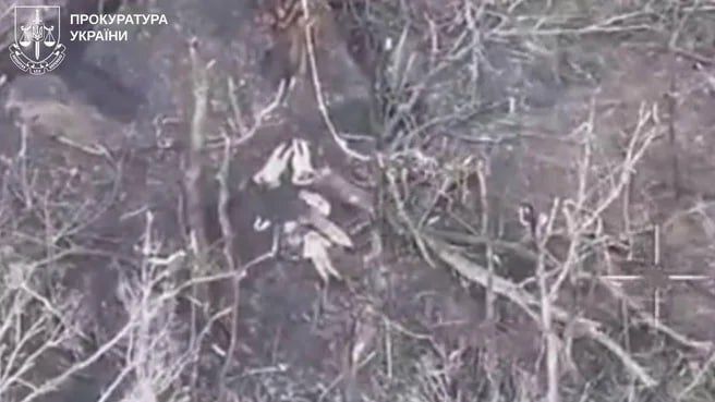 UNITED24 Media tweet media