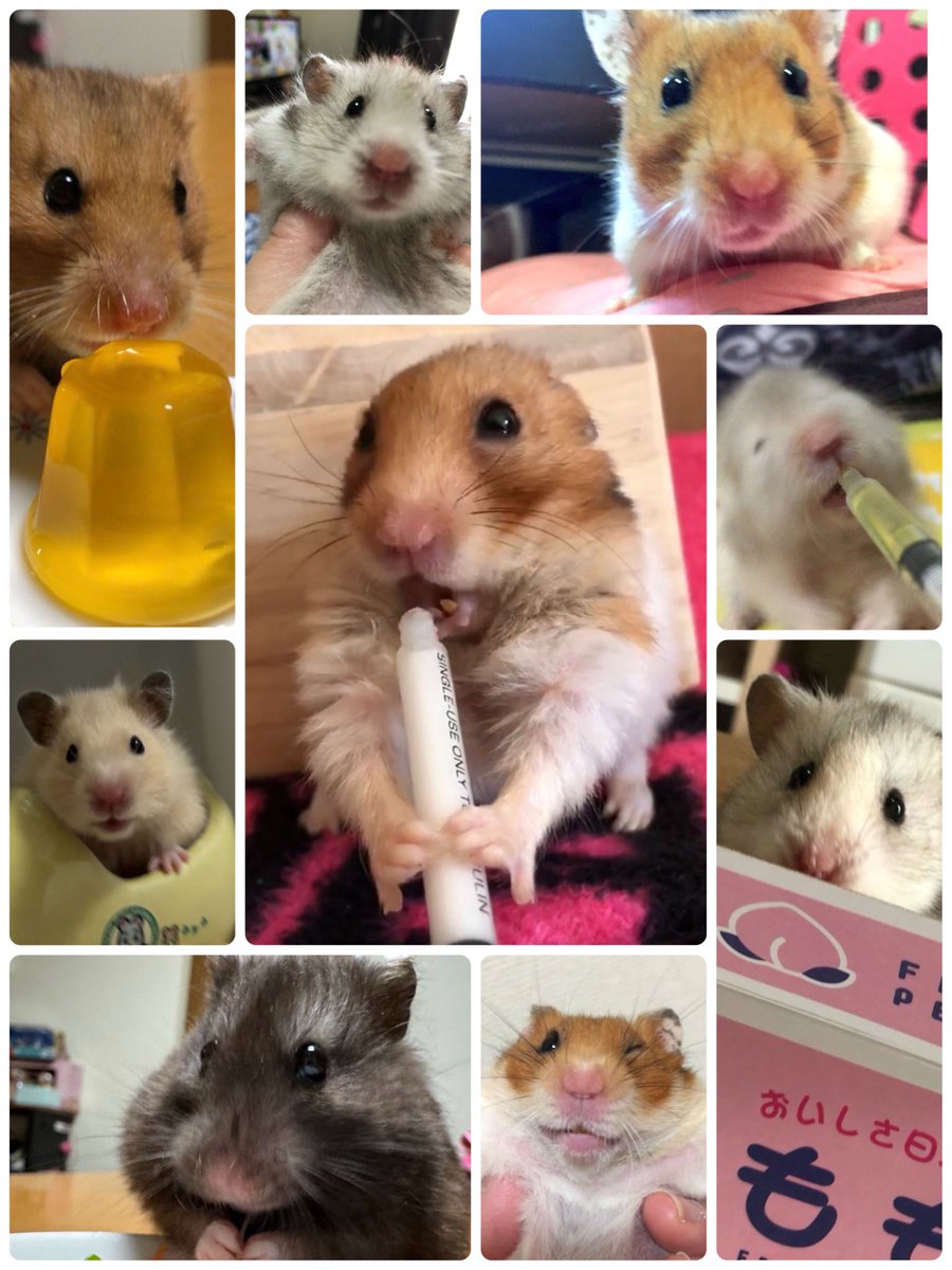 Eriko⭐︎ tweet media