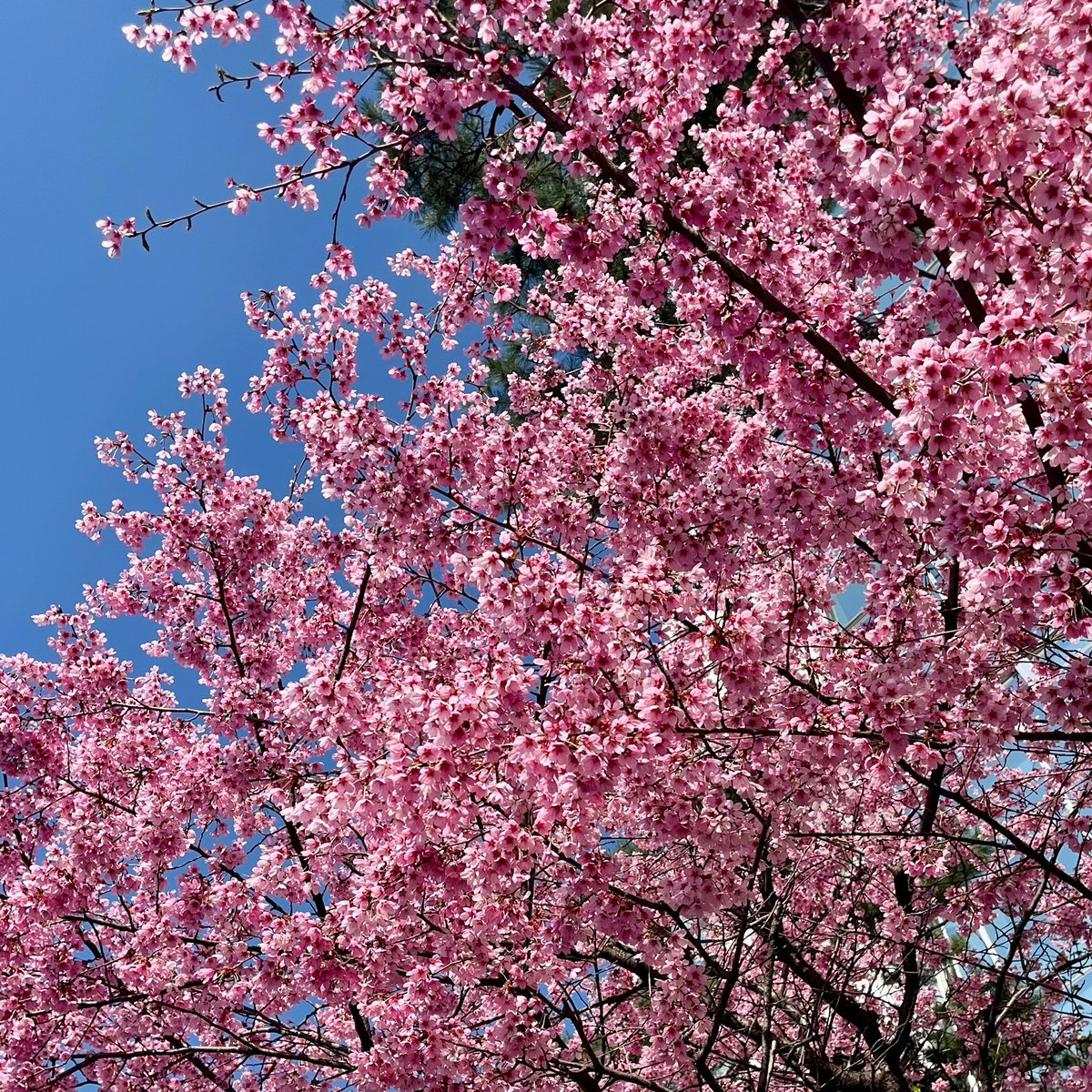 naro_1211 tweet media