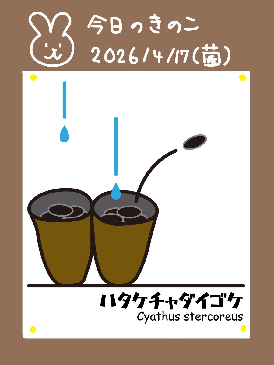 おかのさん tweet media