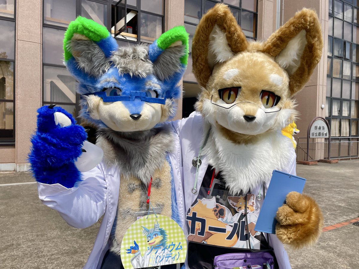 ハムちゃん tweet media