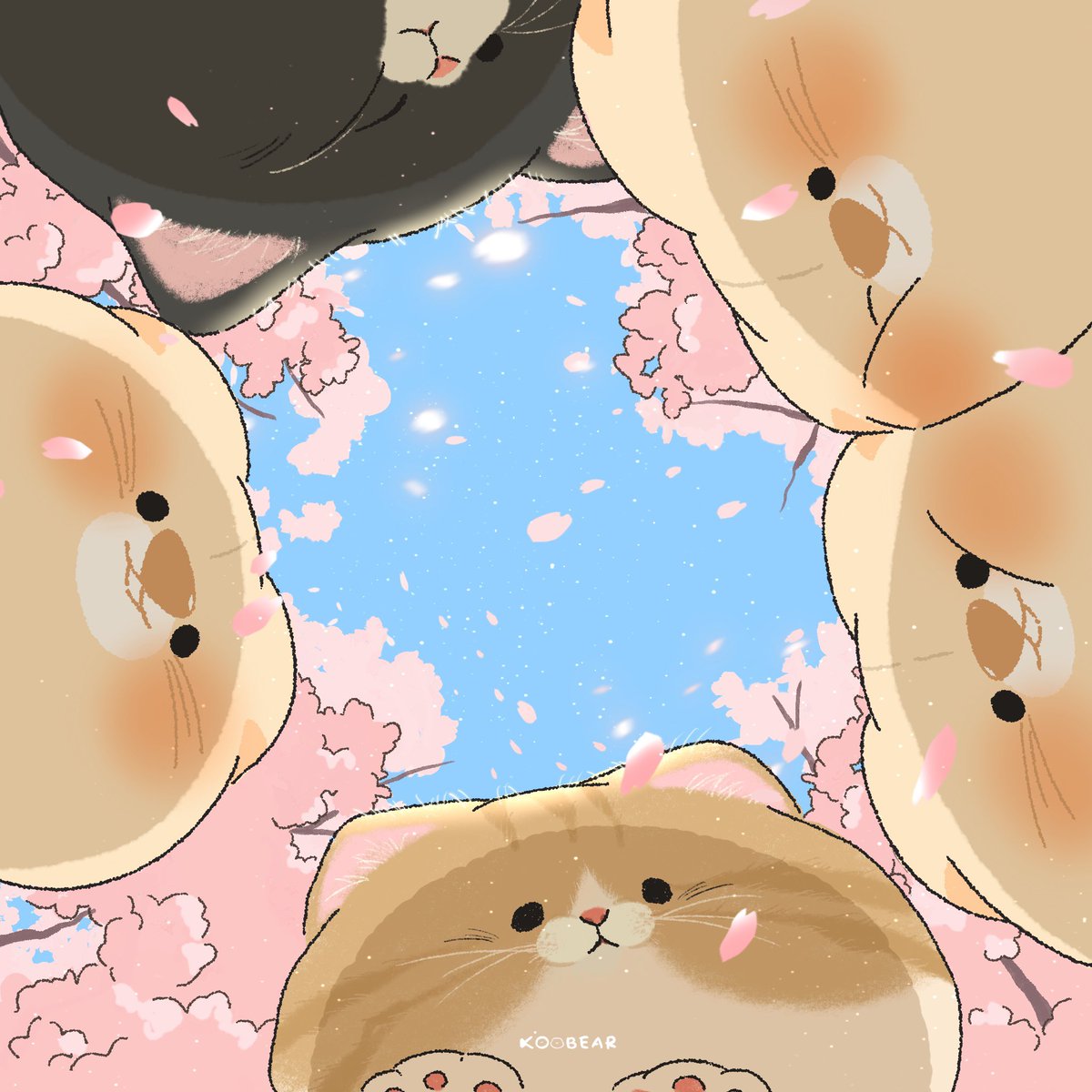 K.oobear tweet media