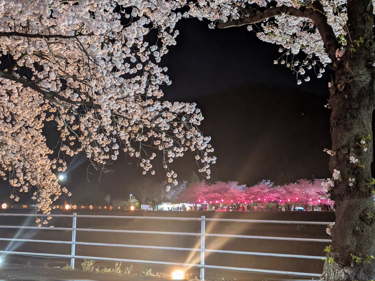 青い人【蒼い人】 tweet media