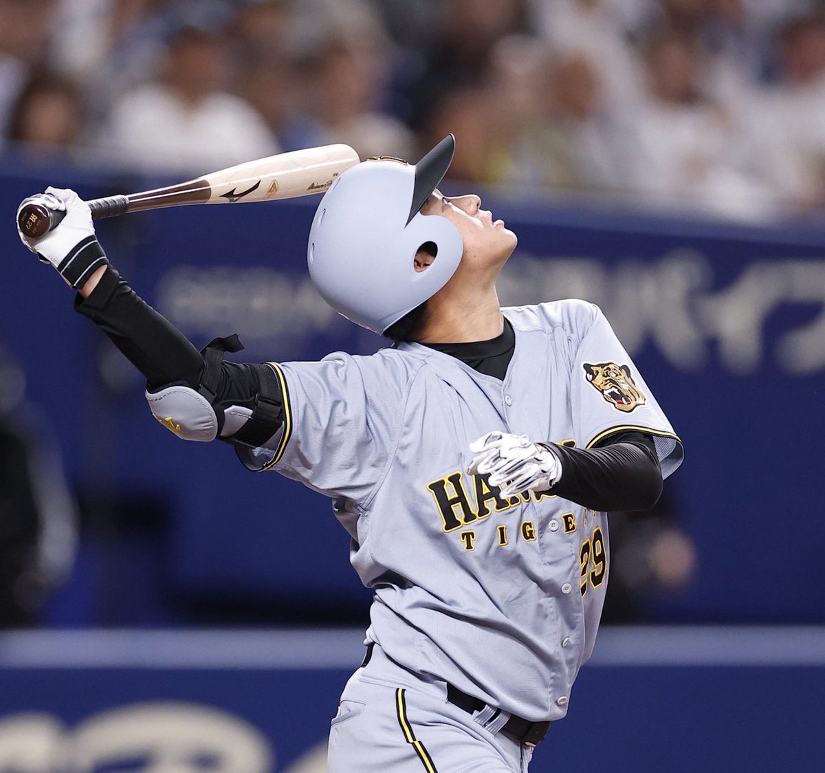 デイリー阪神担当×タイガース tweet media