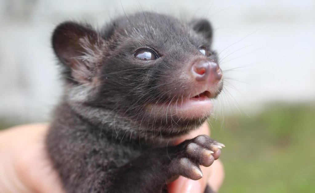 Гешототамгиня tweet media