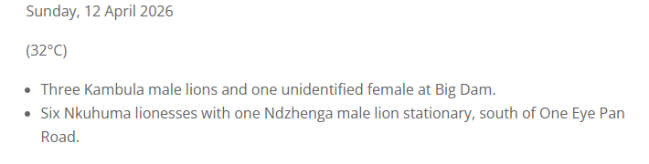 Wonder if it's the Talamati Female or an Imbali #WildEarth
