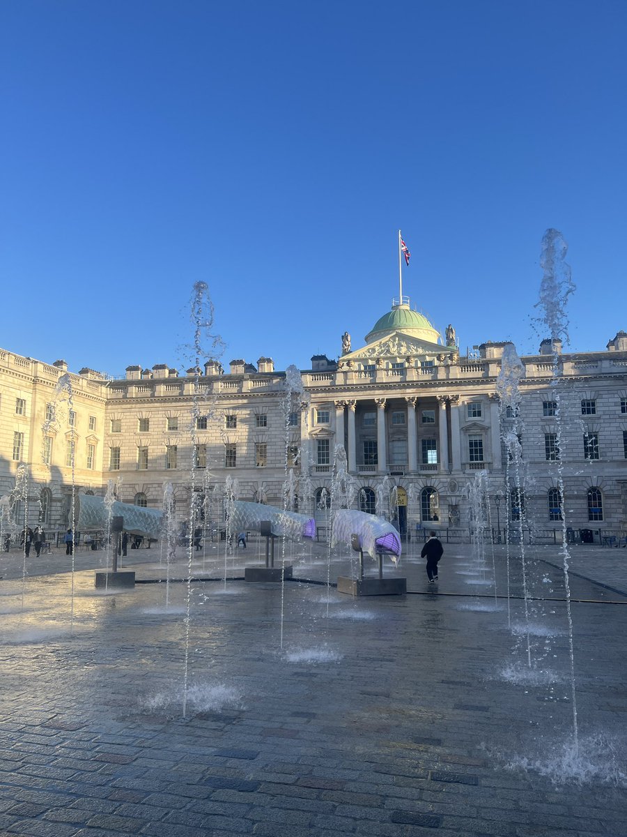 diary of an opinionated girl tweet media