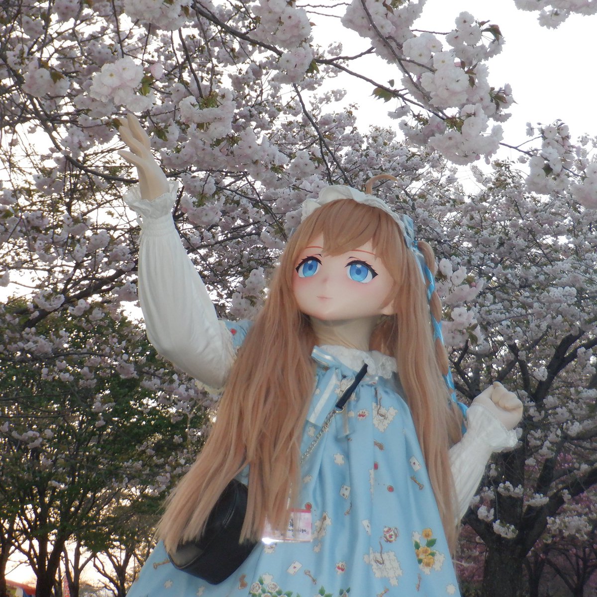 しもつけシルエット委員会 tweet media