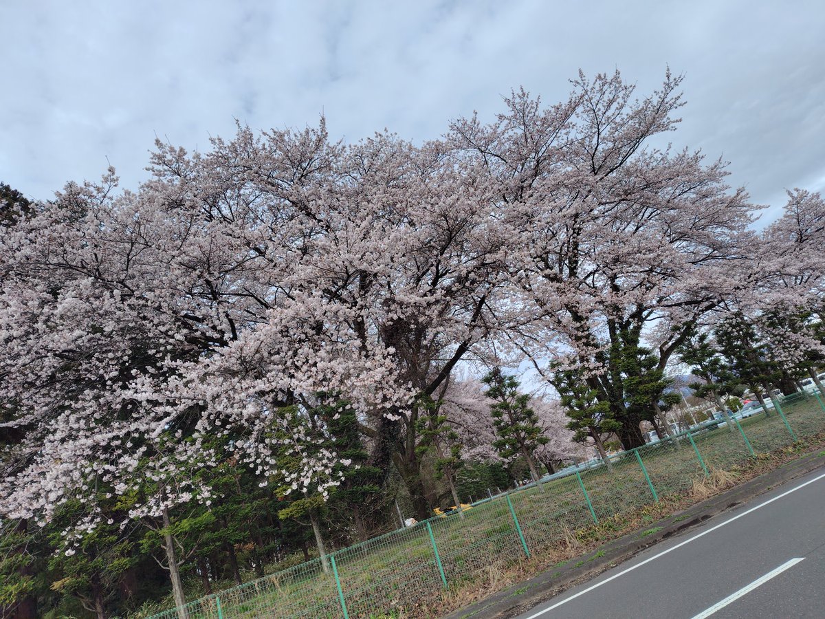 まぁすけ tweet media