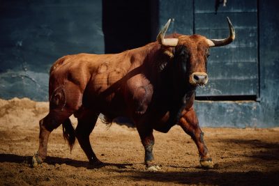 Mar Muñoz 🇪🇸 tweet media