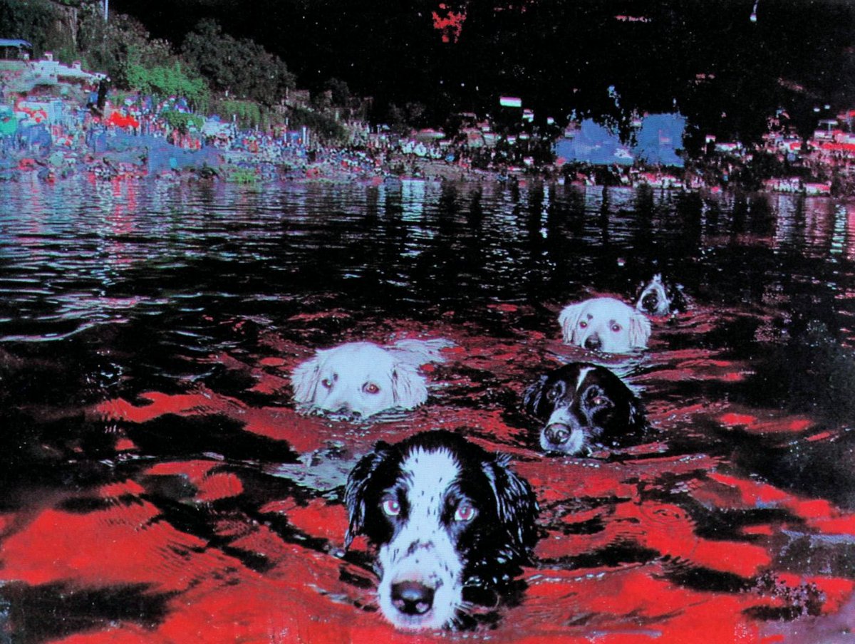 Stephan Vasement tweet media