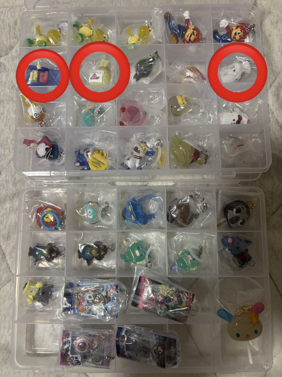 ひいらぎ tweet media