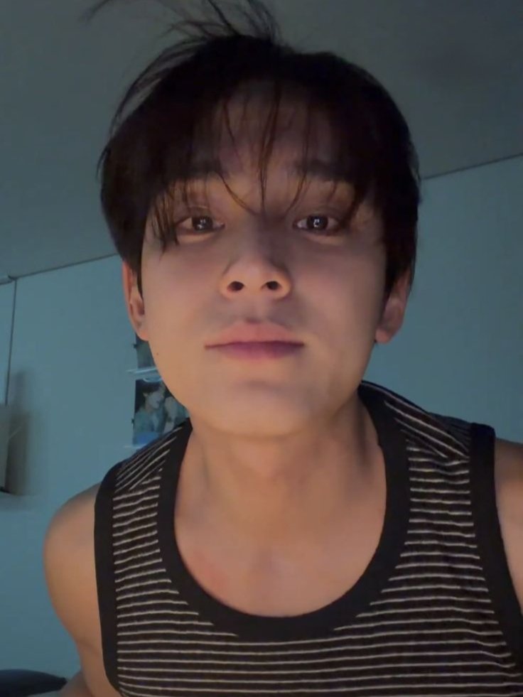 mingyu pics tweet media