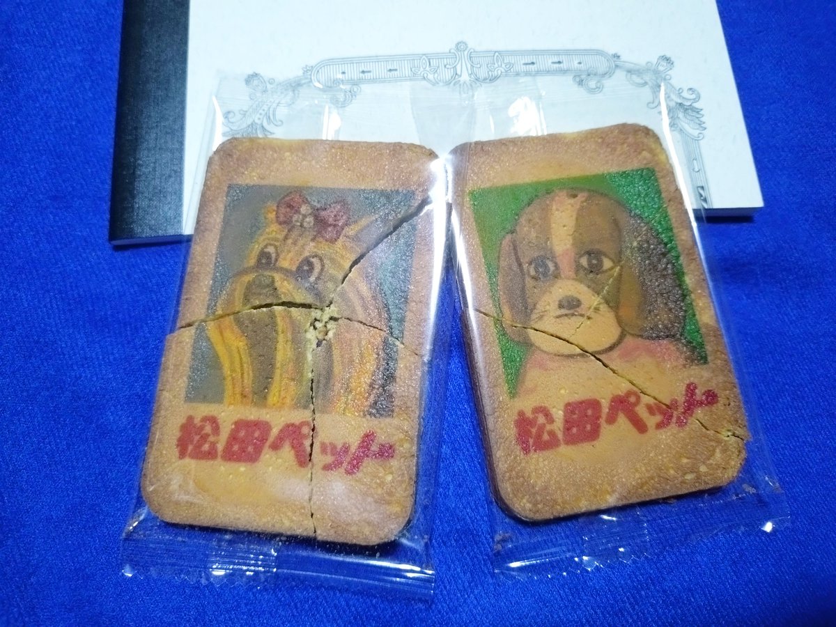 白猫べーた tweet media