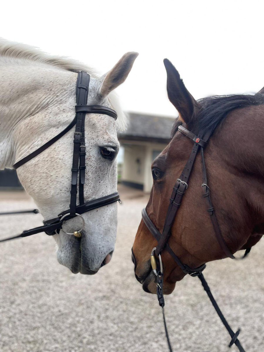 Emma Berry tweet media