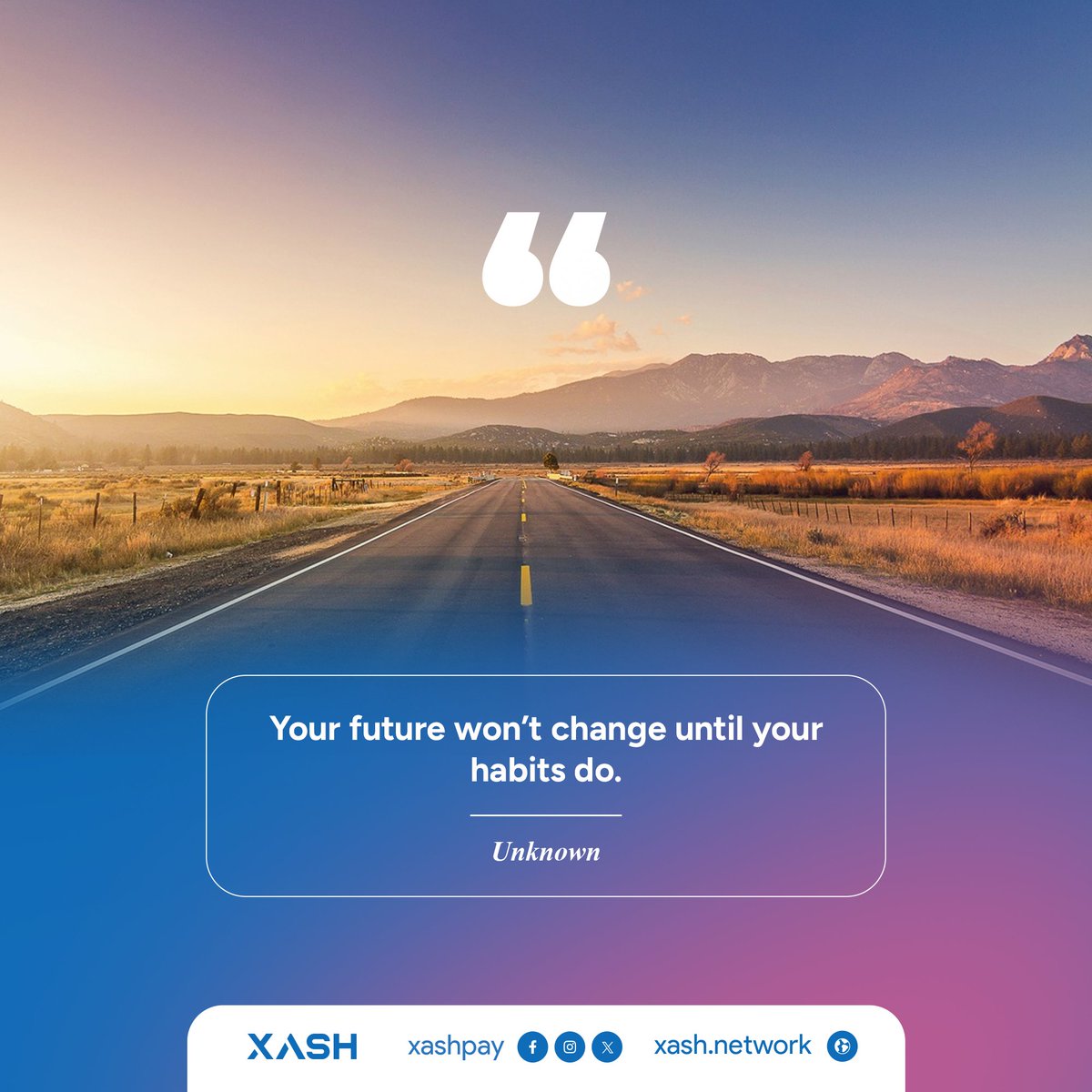 Xash Pay tweet media