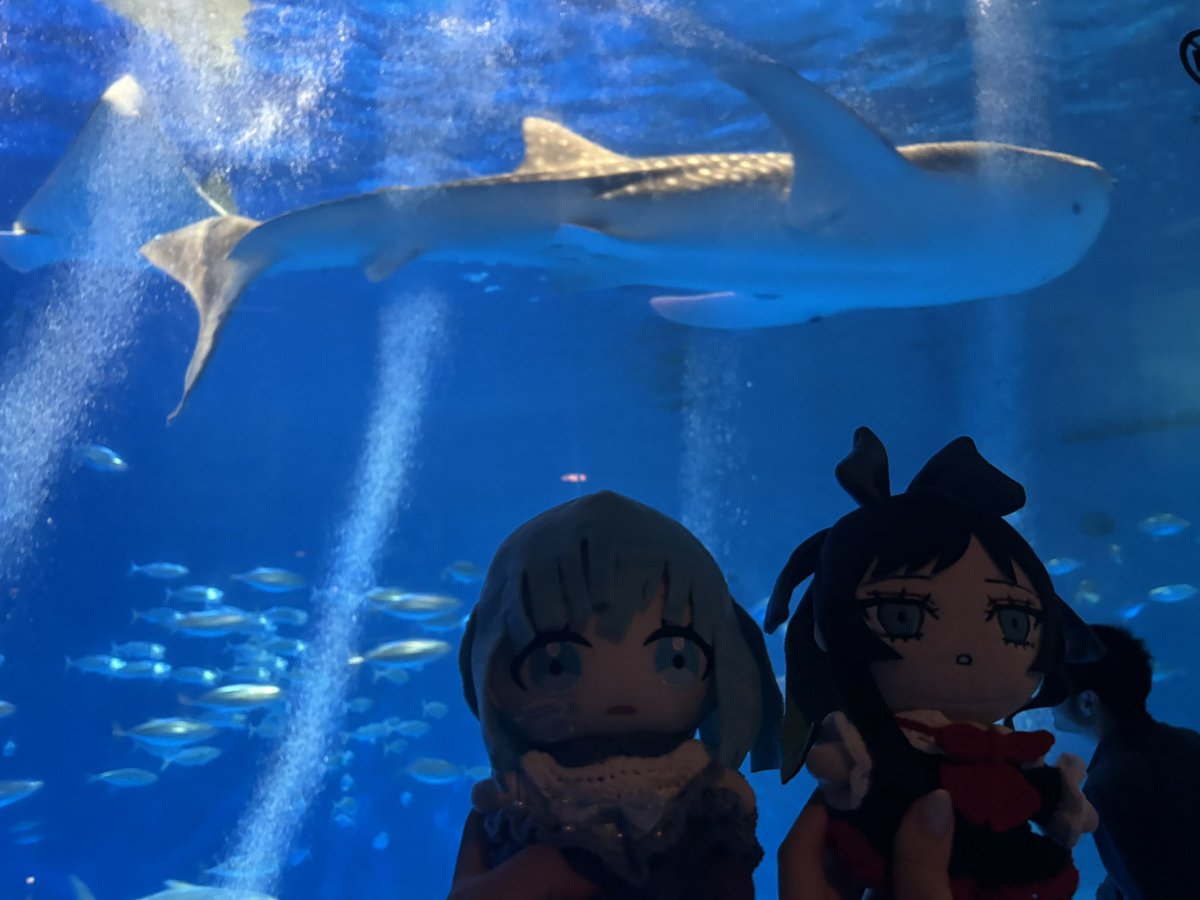 だいあさ tweet media