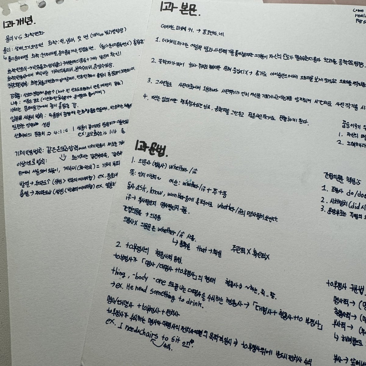 루꼴라 tweet media